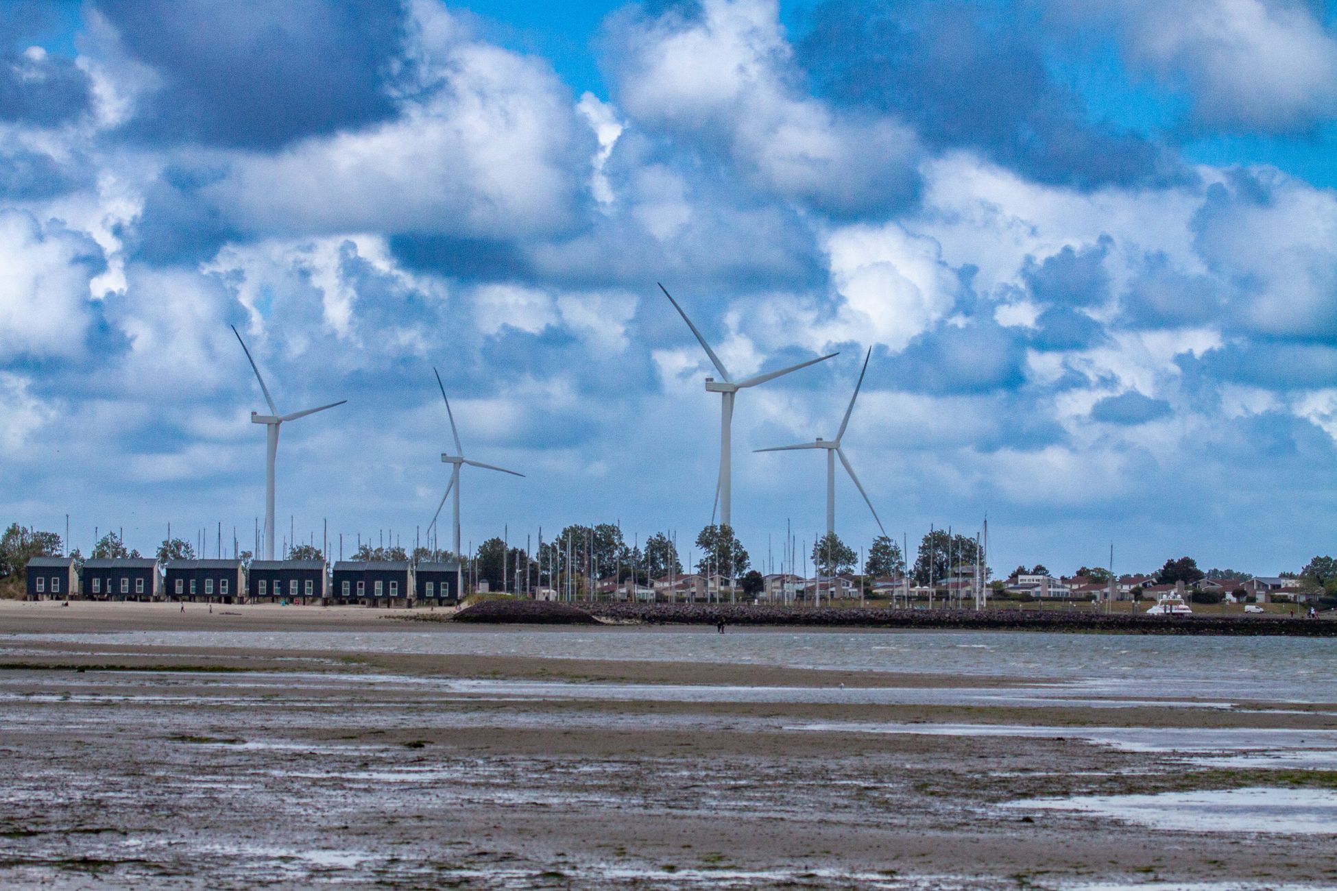 Dolf Jansen zoekt op Terschelling naar 'Oerolgevoel'