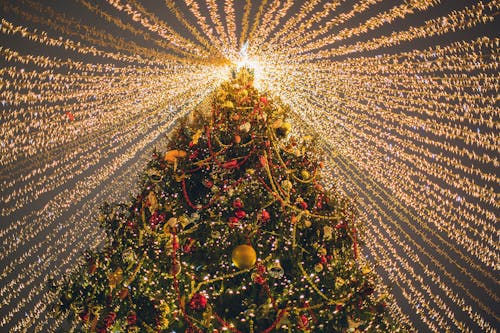 árvore De Natal Verde Com Luzes De Corda