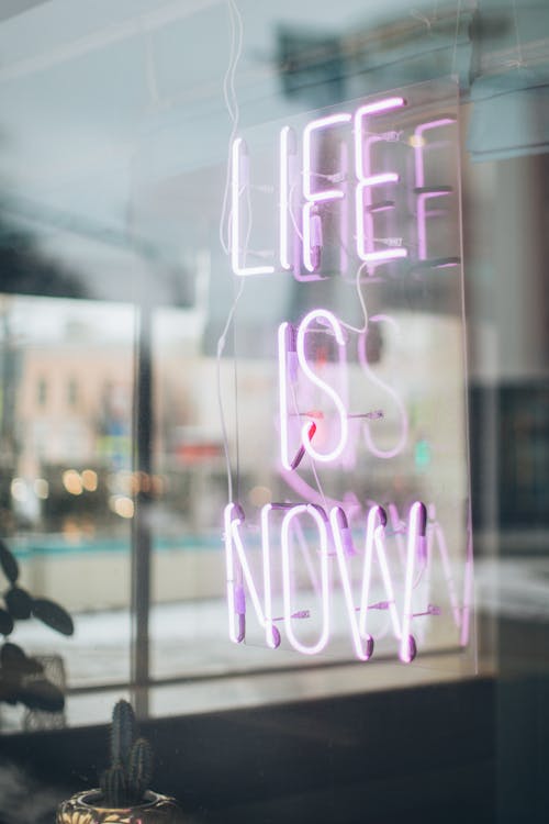 Free Life Is Now Neon Signage Stock Photo