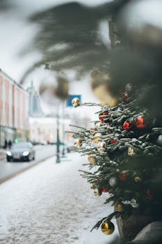 冬日里，白雪皑皑的街道上装饰着挂满饰品的圣诞树