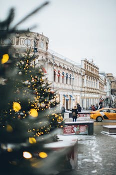 城市街道优雅，明亮的圣诞树与冬雪中的历史建筑相映成趣