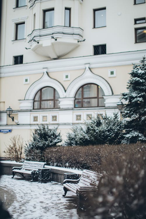 Square with walkway and benches in winter