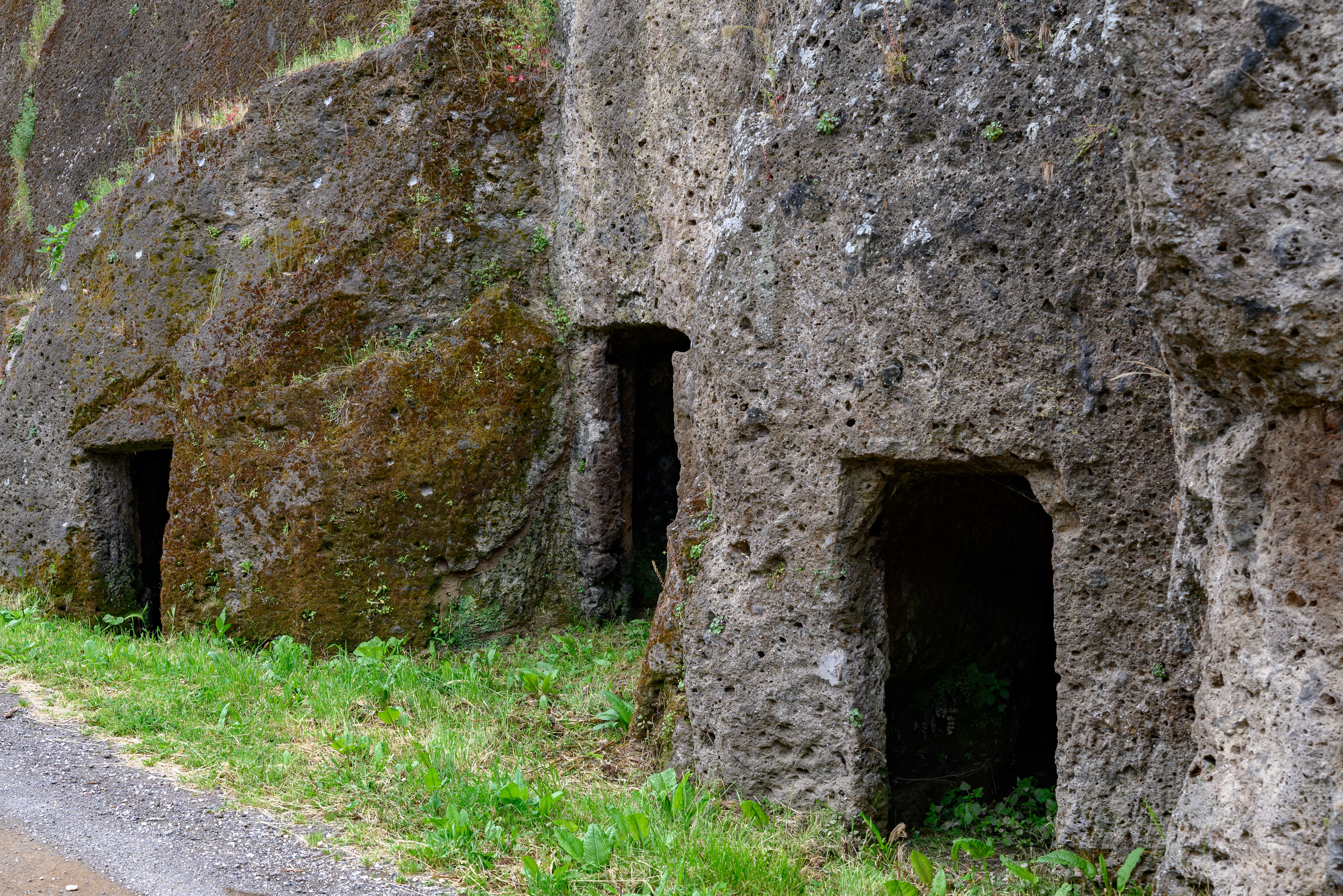 Tours, activities & tickets in Albano Laziale