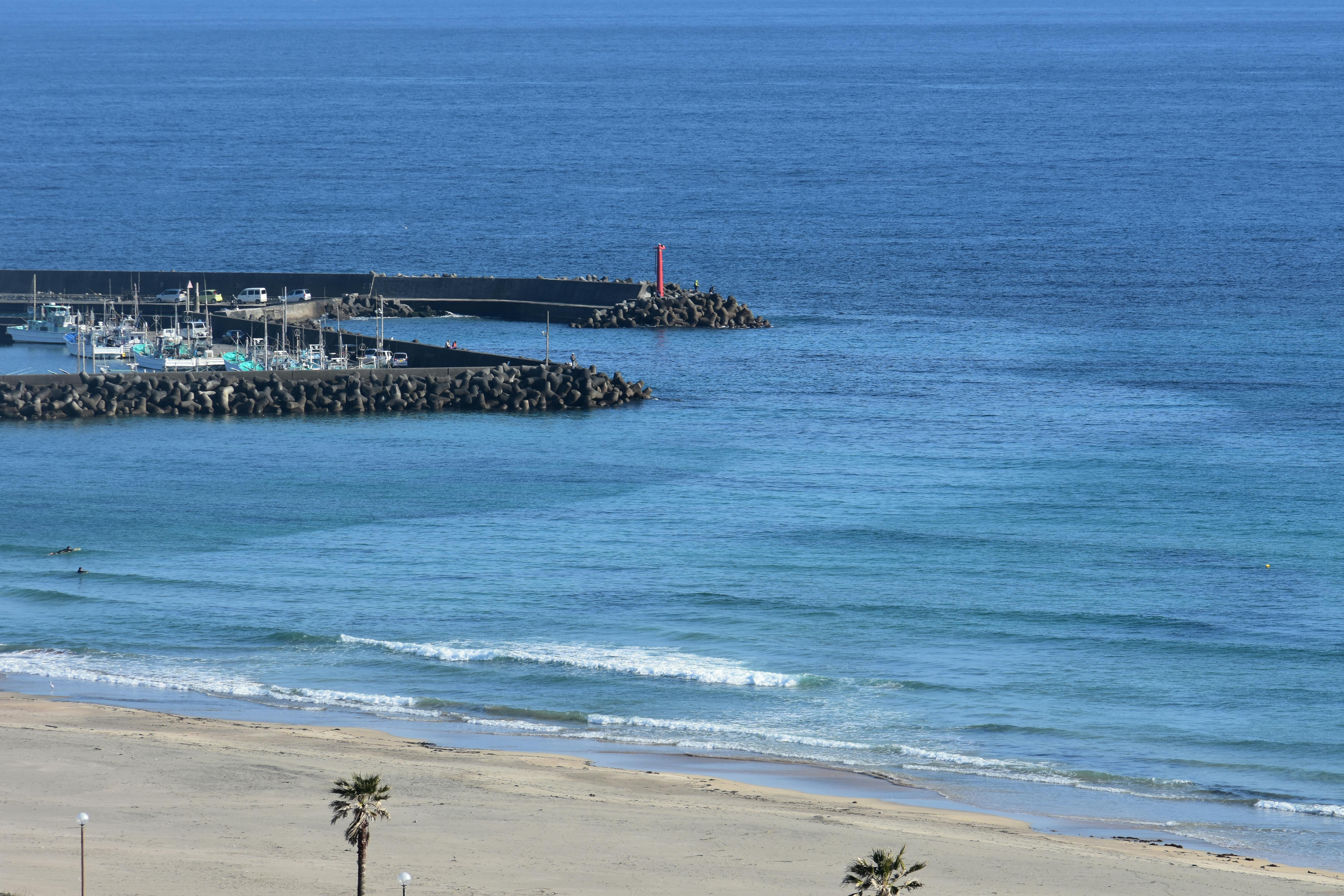 보장 범위 아이콘