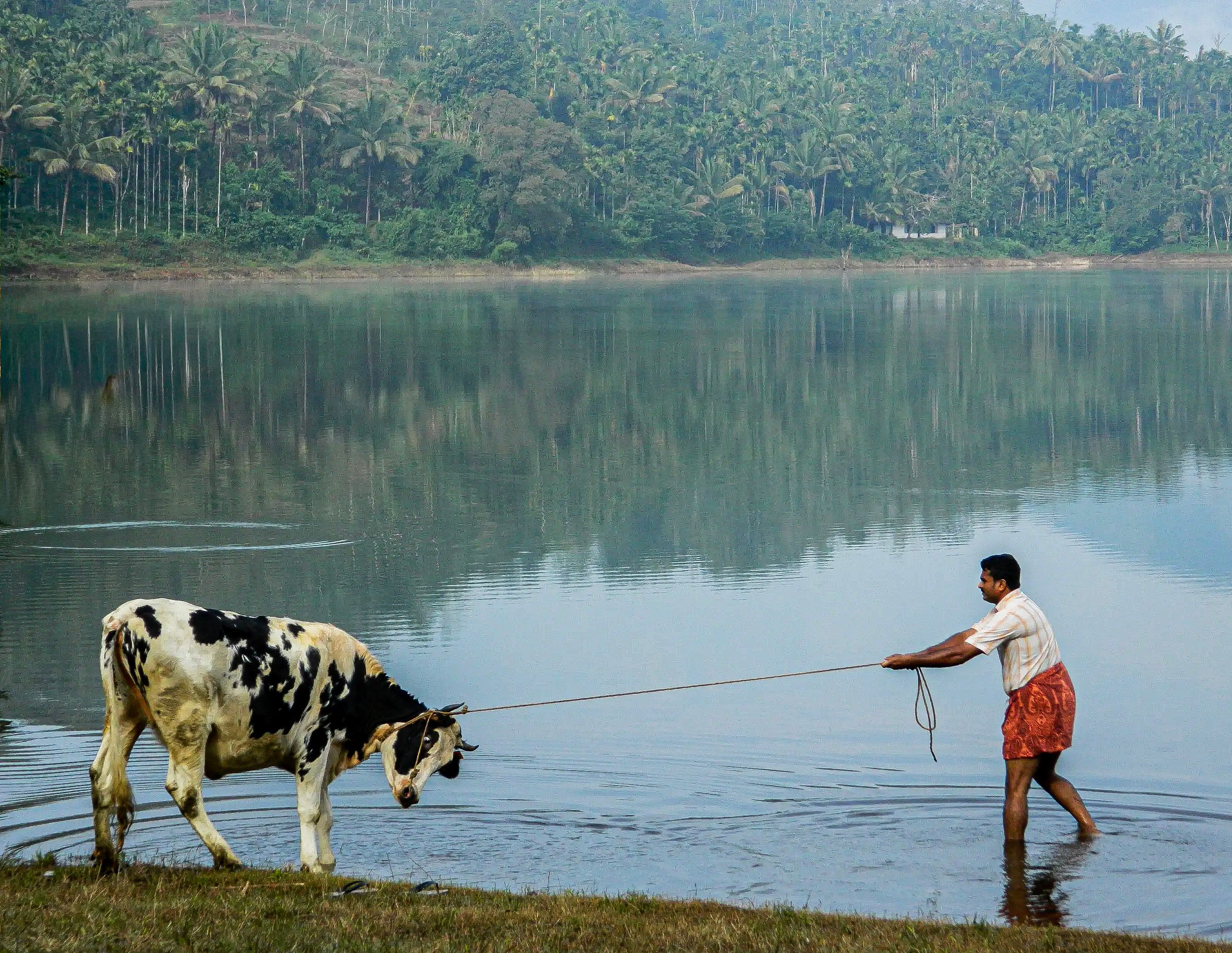 Wayanad travel and vehicle rental photo 3
