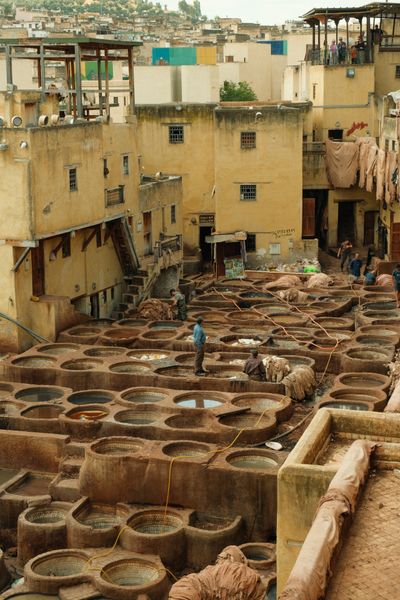 Fez tanneries