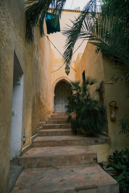 Free Discover the enchanting alleys of Fez with traditional arches and lush greenery. Stock Photo