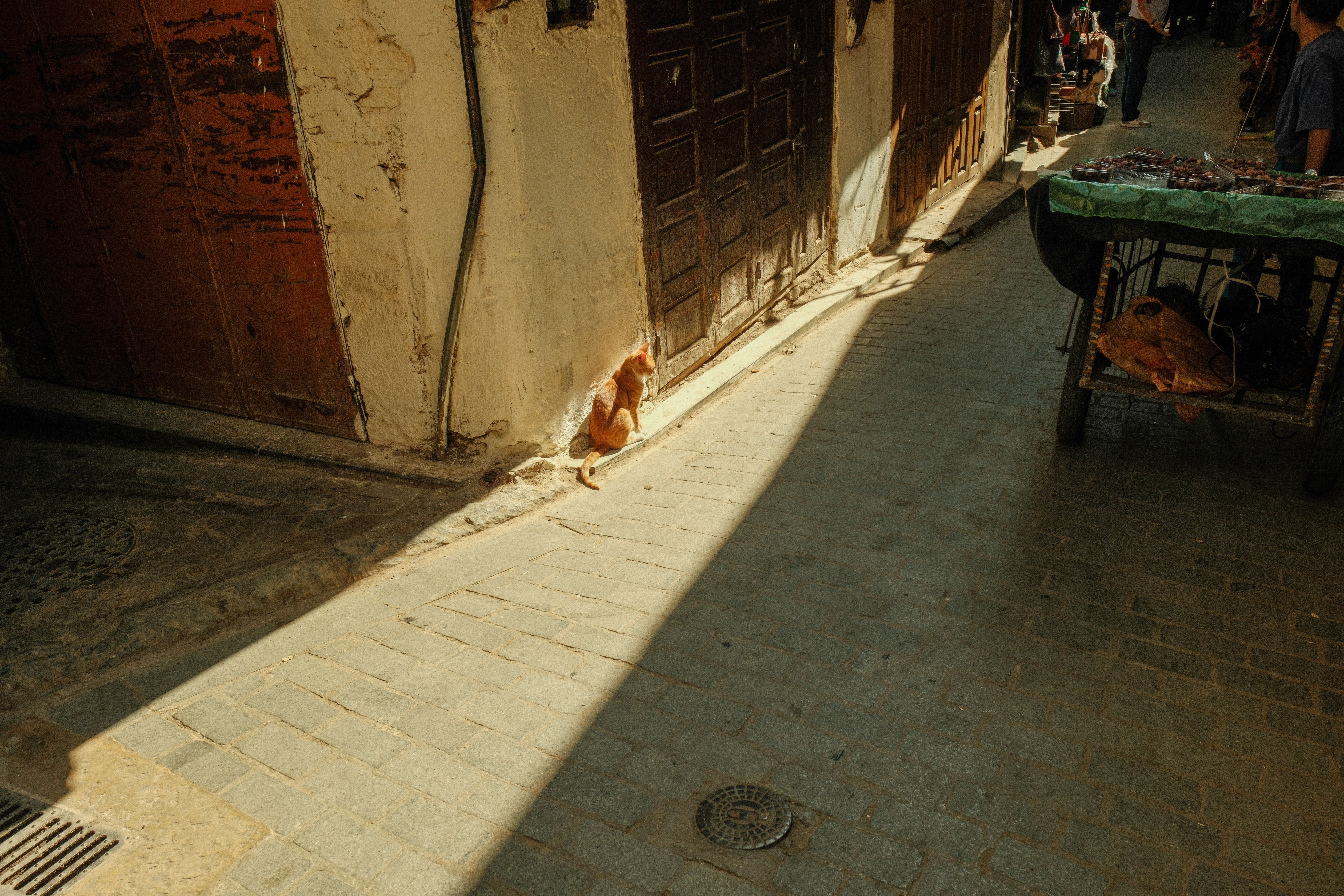 A tranquil alleyway in Fes, featuring a stray cat basking in sunlight. Captured in an authentic Moroccan market setting.