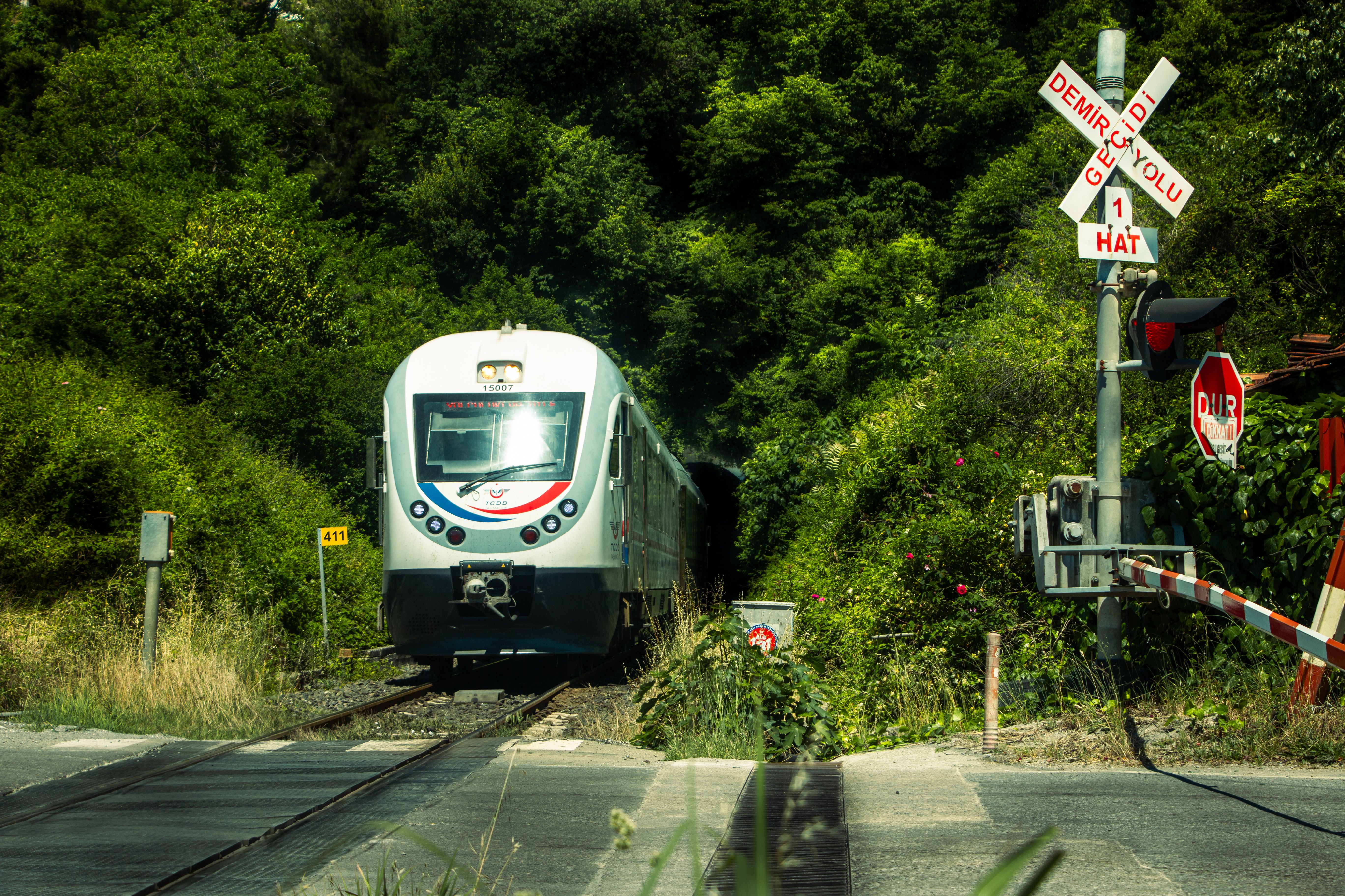 A train emerges from a tunnel amidst lush greenery at a railway crossing in daylight.
