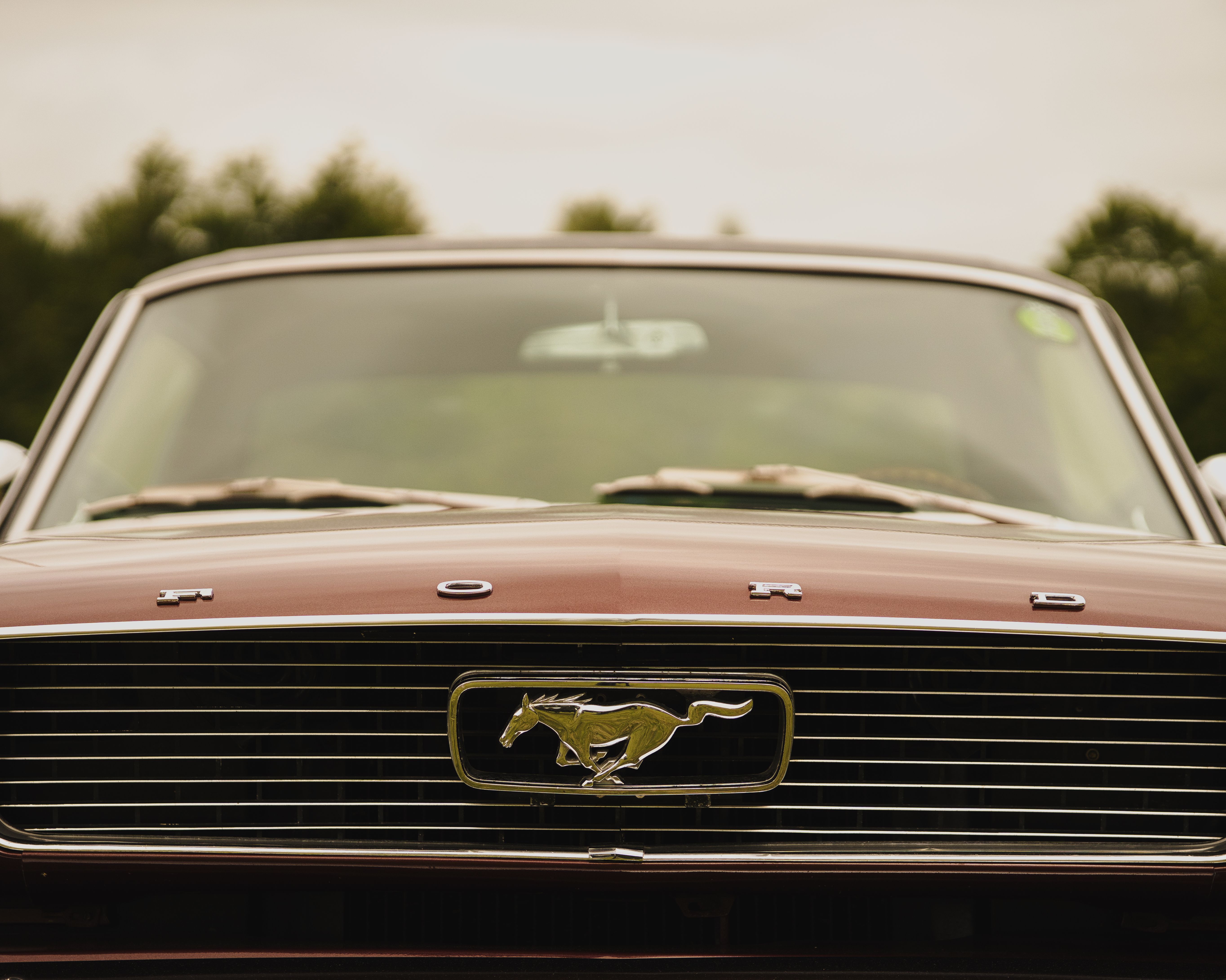 Classic Ford Mustang front view showcasing emblem and grill outdoors.