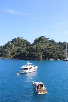 Scenic view of yachts anchored in the serene waters of Portofino, Italy under a clear blue sky.