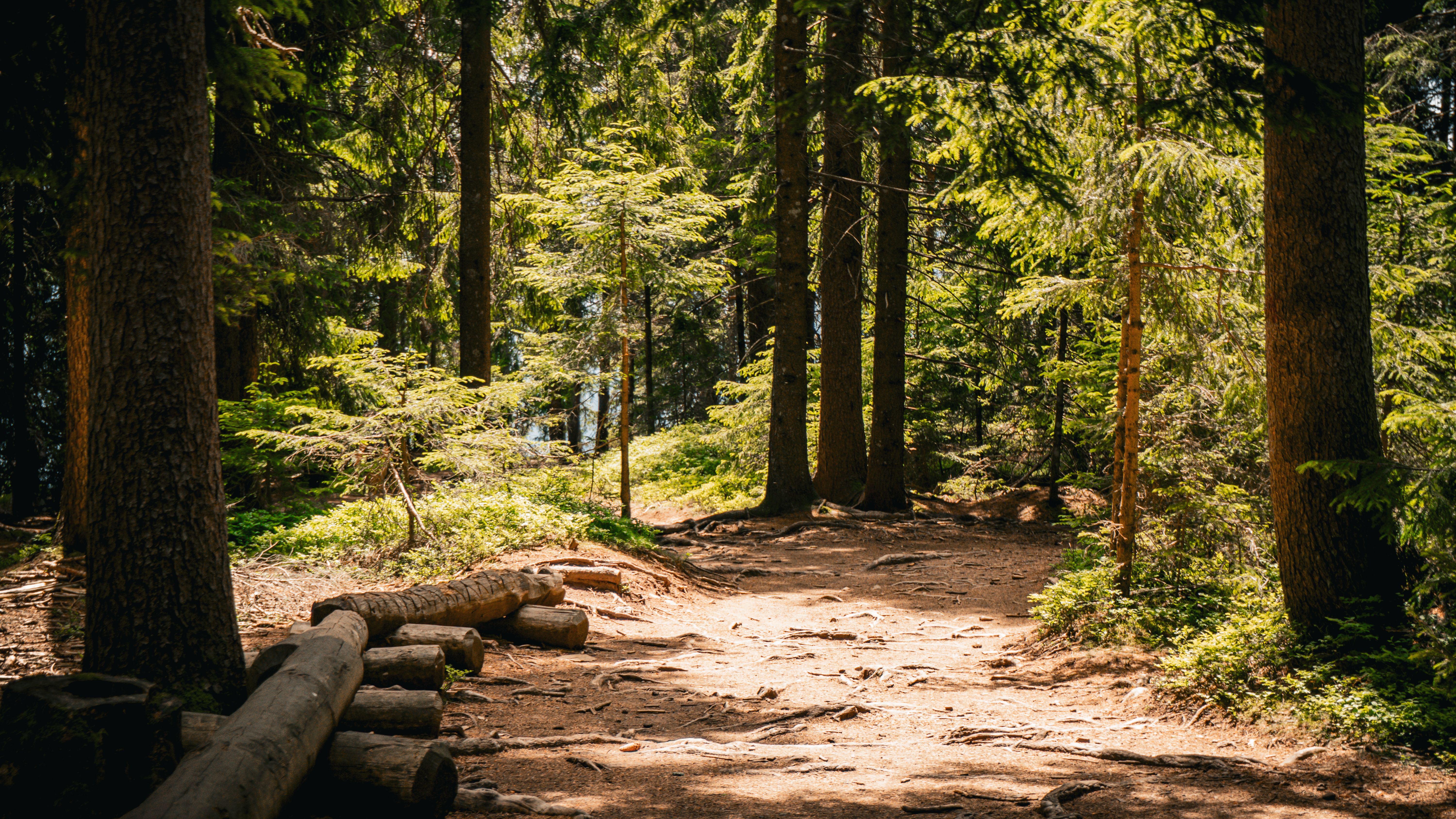 Mental health, neurodiversity M&amp;A grows further; Bridgepoint to acquire Kayne Anderson Real Estate — Photo by Lukas Mantz