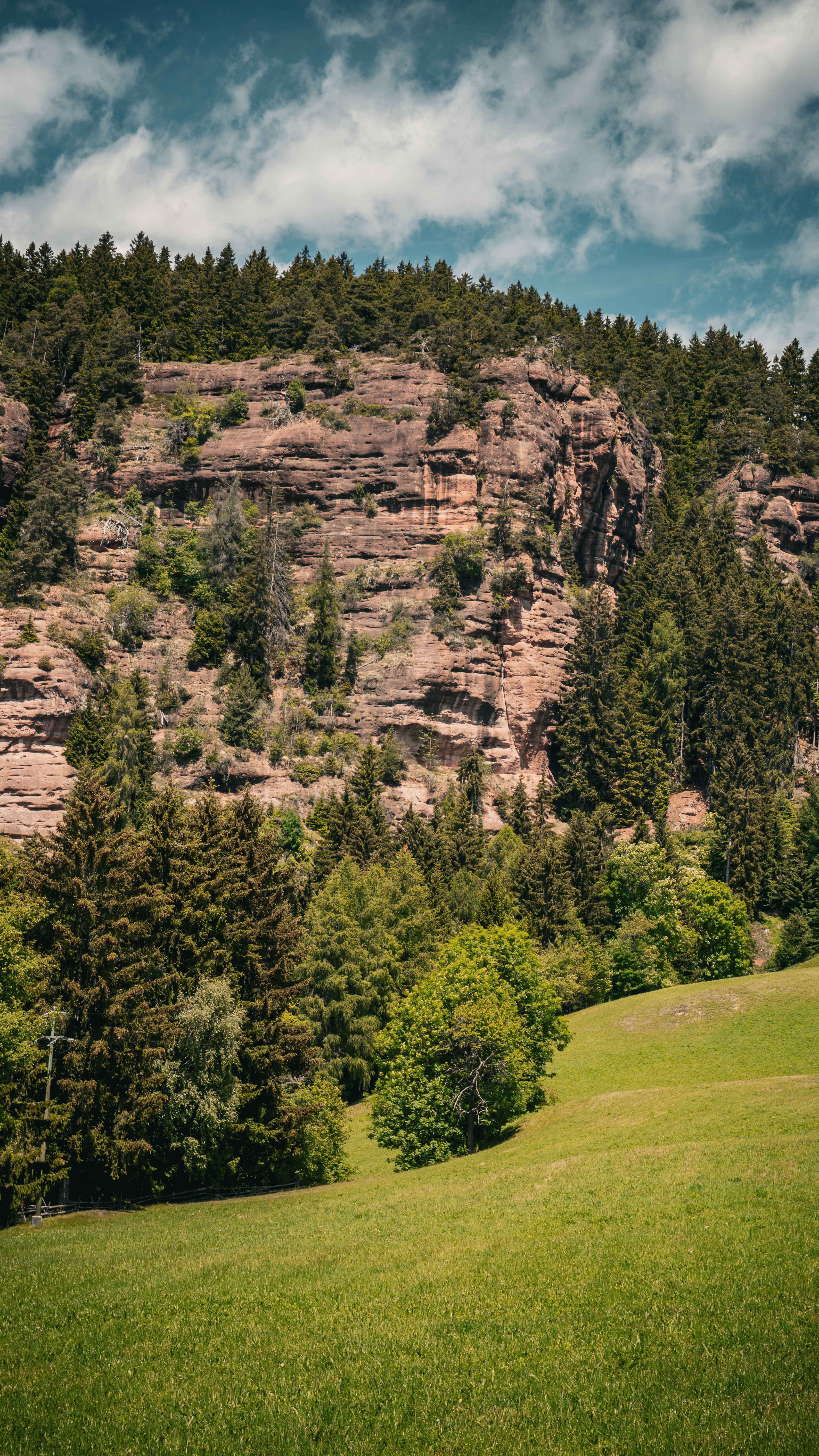 Lush greenery and rugged cliffs in Vöran, South Tyrol, under a sunny sky perfect for nature lovers.