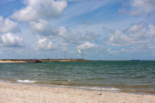 Free Seagull flying over beach with distant wind turbines under a bright blue sky. Stock Photo