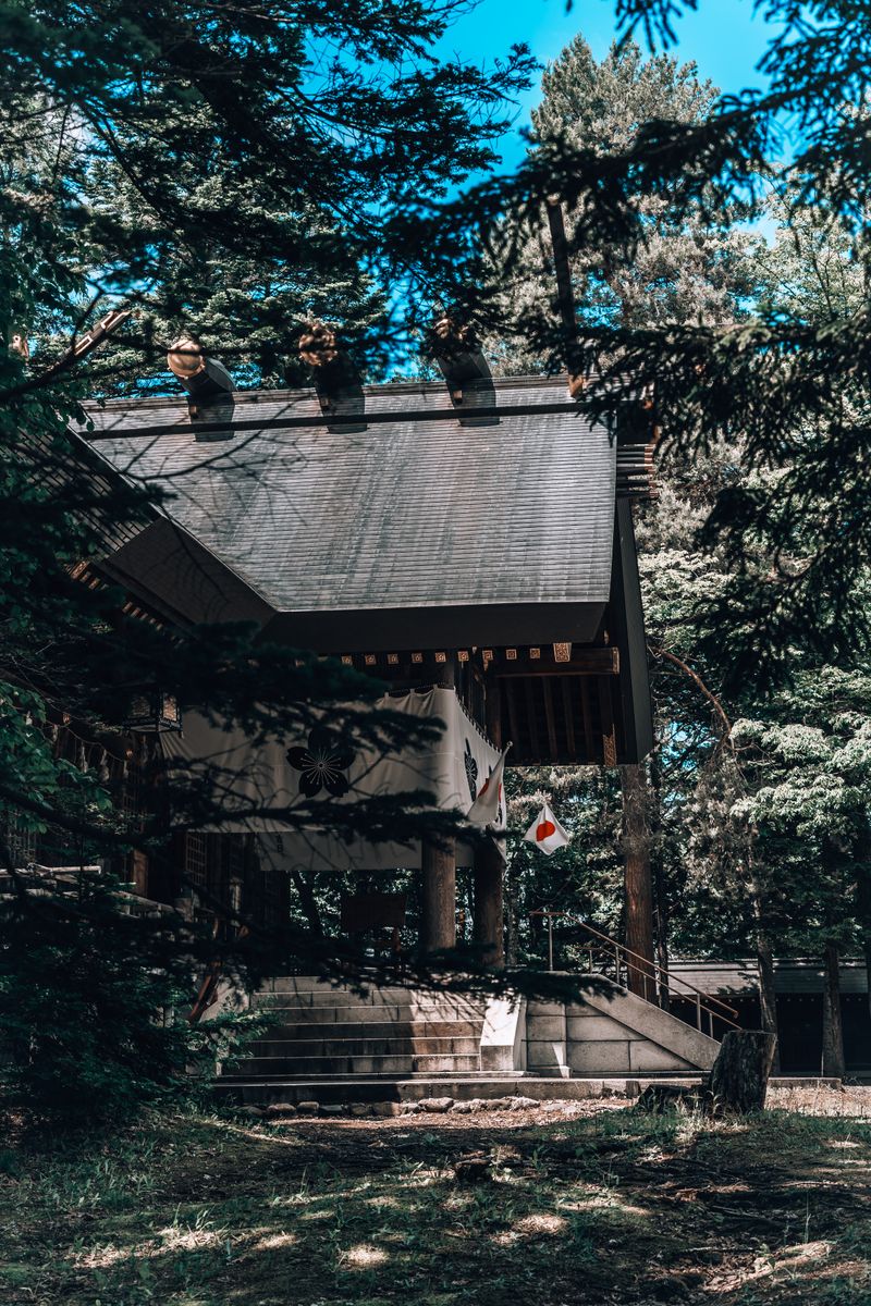 Wooden main hall of Hokkaido Shrine framed by forest trees in Sapporo