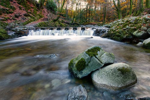 Free stock photo of autumn, ireland, northern ireland