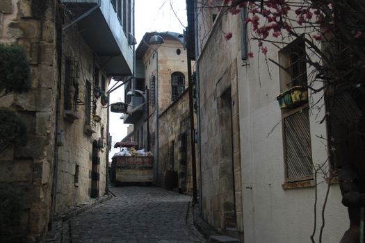 A narrow cobblestone alley with ancient stone buildings and blooming trees in a historical quarter.