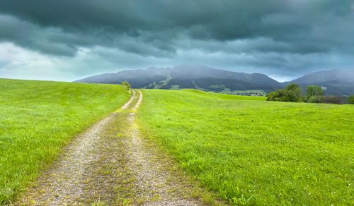 Free A tranquil path through lush green fields under a moody sky in Oy-Mittelberg, Germany. Stock Photo