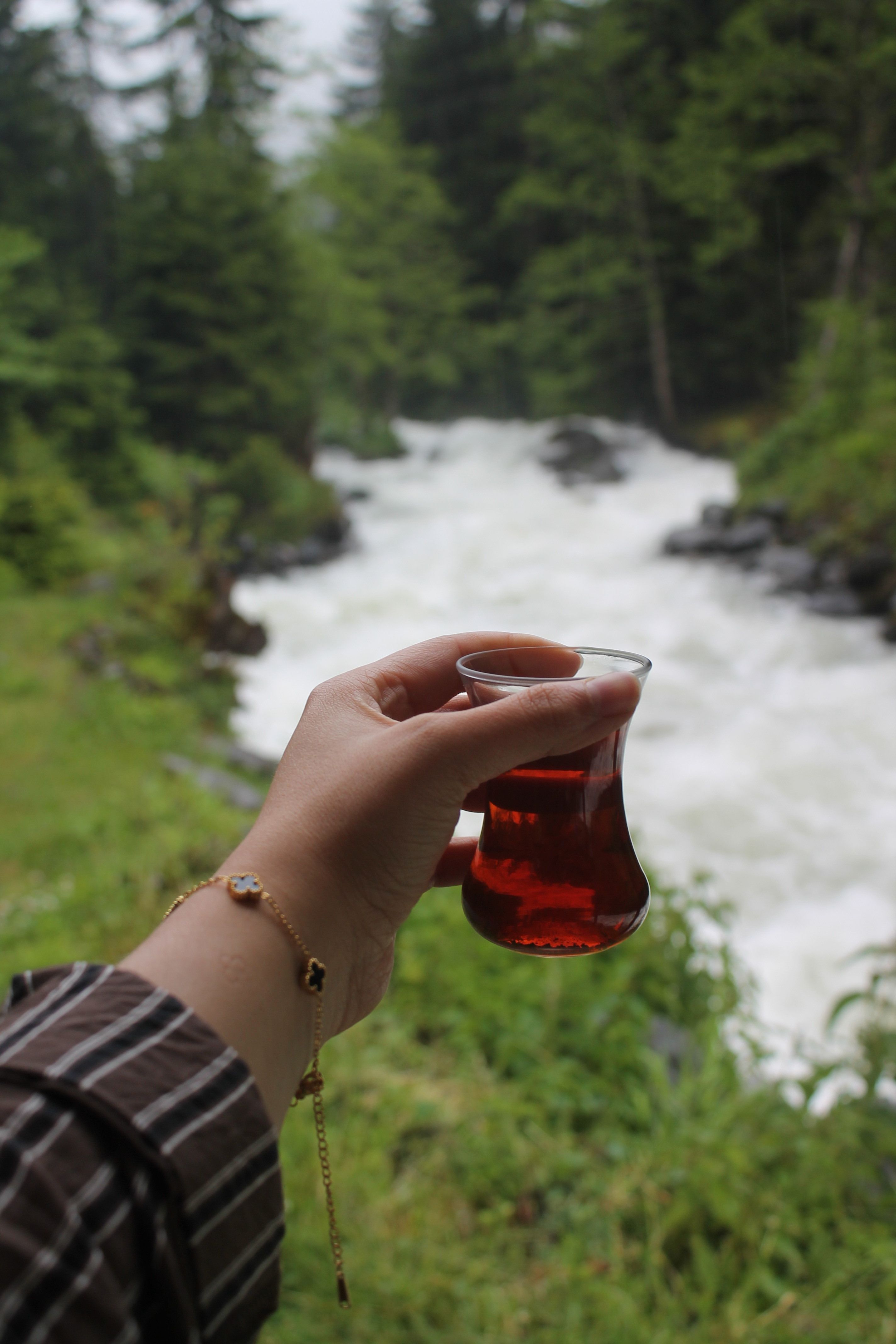 A person holding a glass of tea with a scenic view of a lush forest and rapid river.
