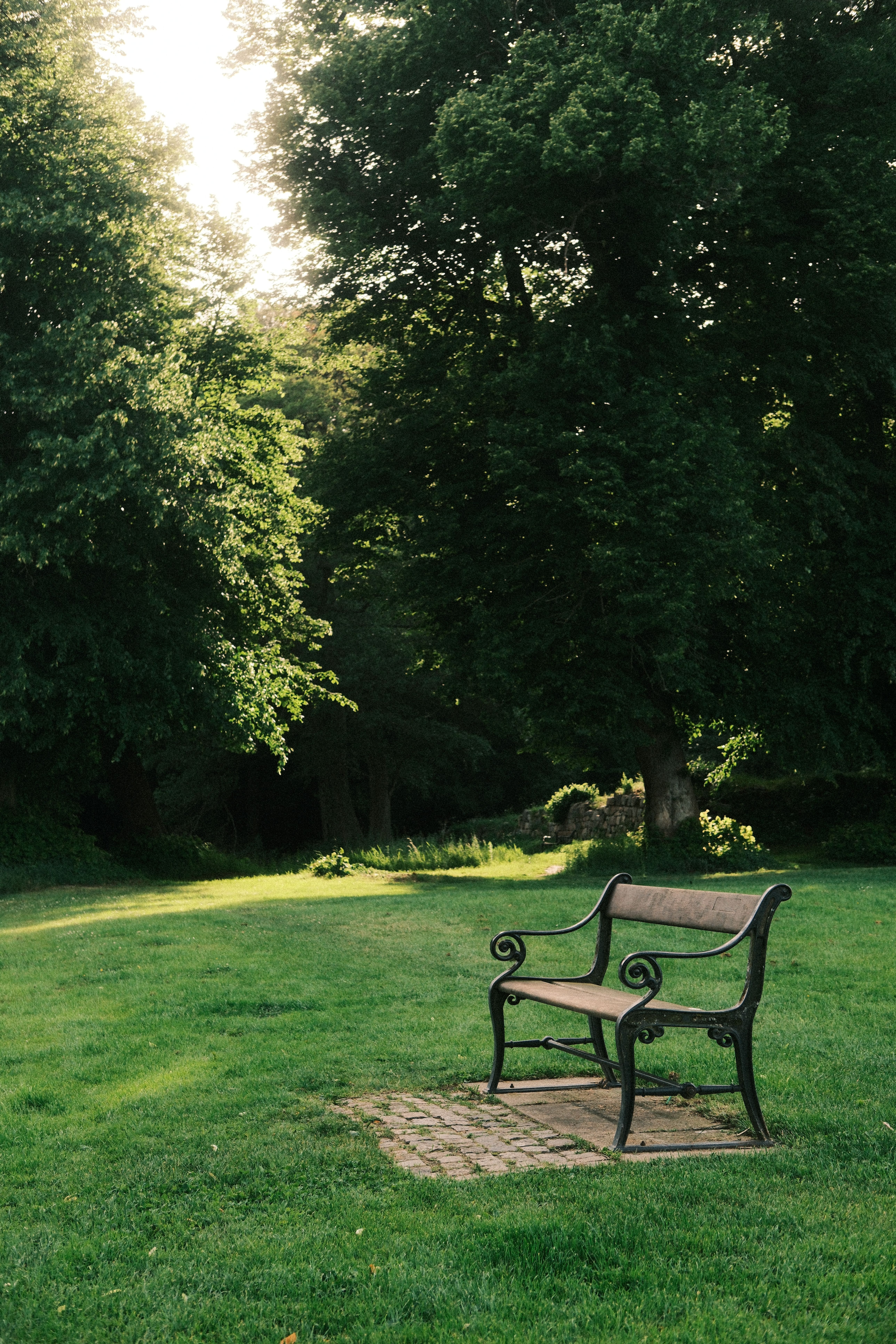 Tranquil park bench under lush green trees during golden hour in Denmark's serene park setting.