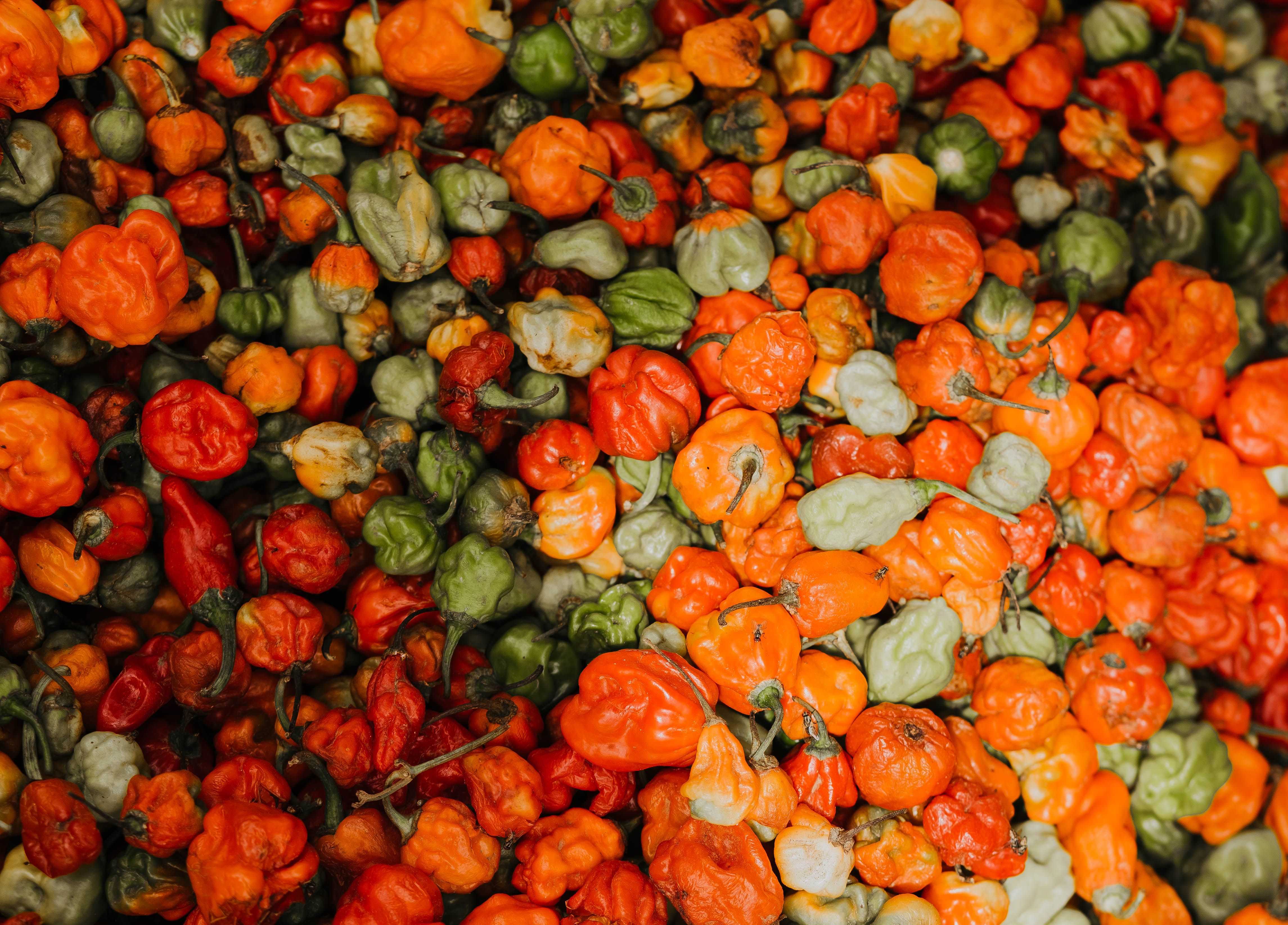 Vibrant mix of fresh peppers in various colors for culinary use.