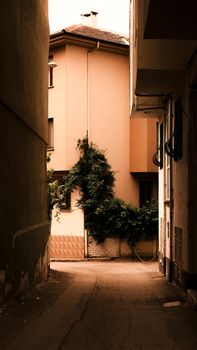 Charming narrow alleyway with rustic buildings and ivy plant in Bursa, Türkiye.