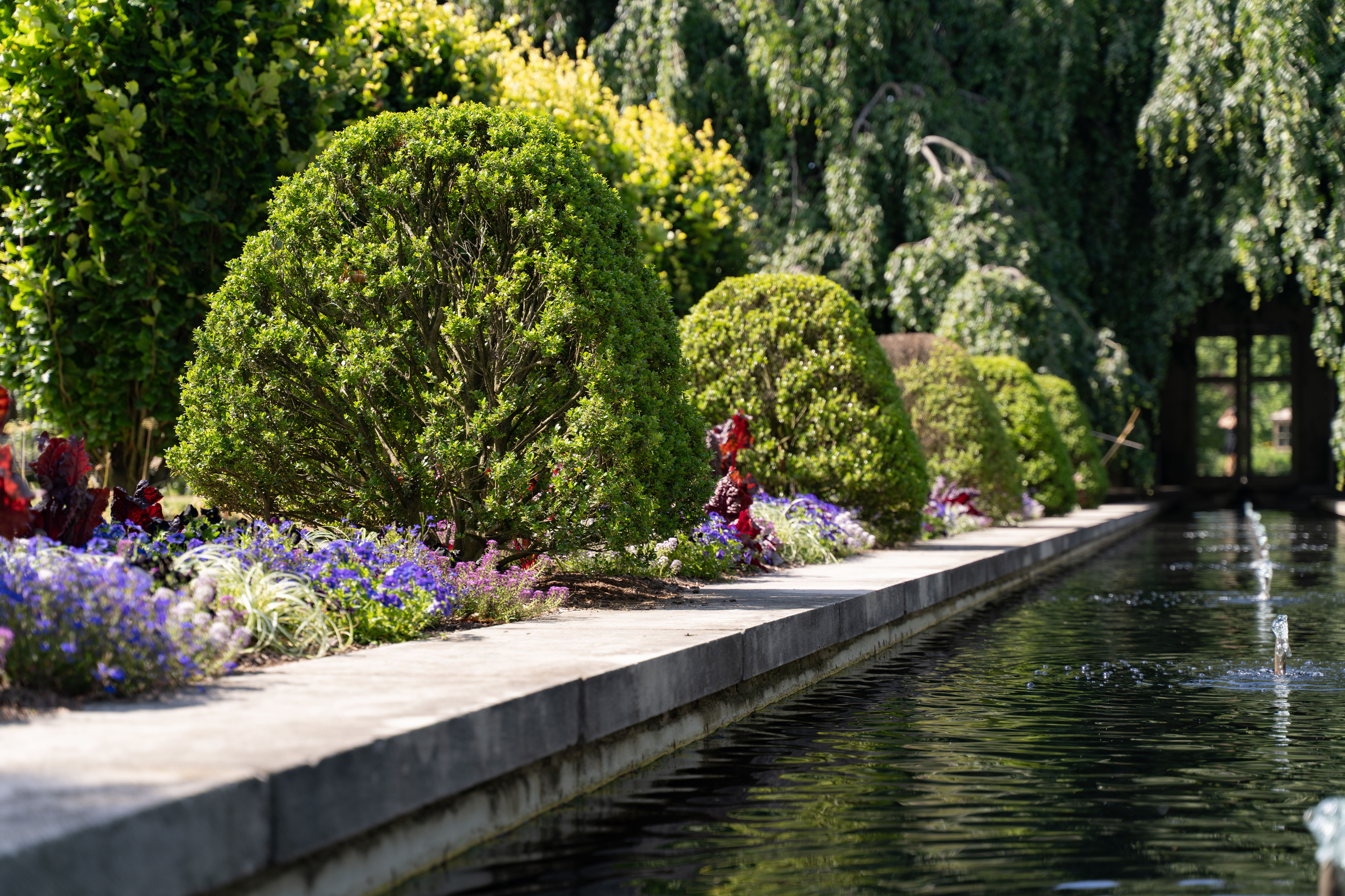 Discover One of New York’s Hidden Botanical Treasures