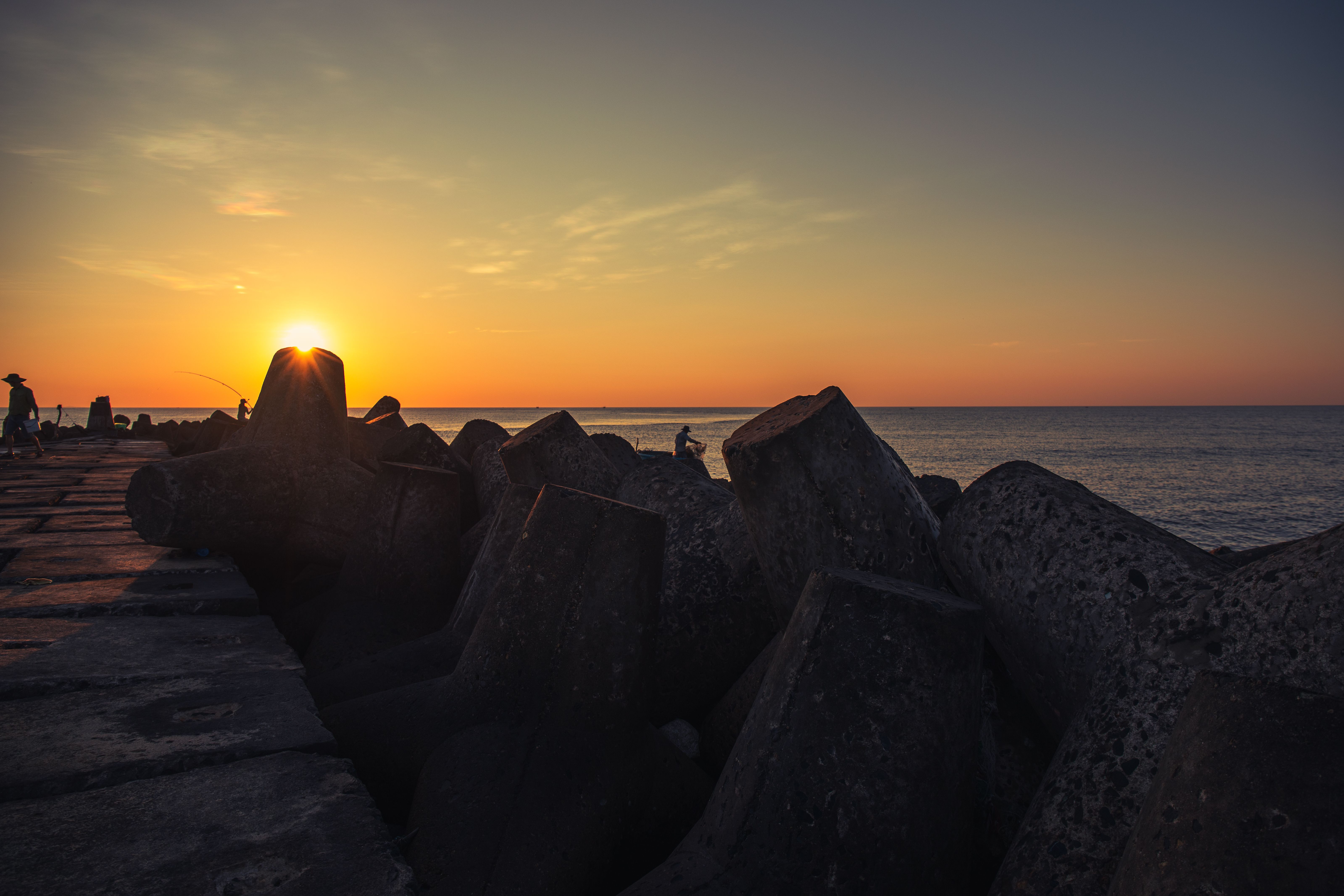 tetrapods fish