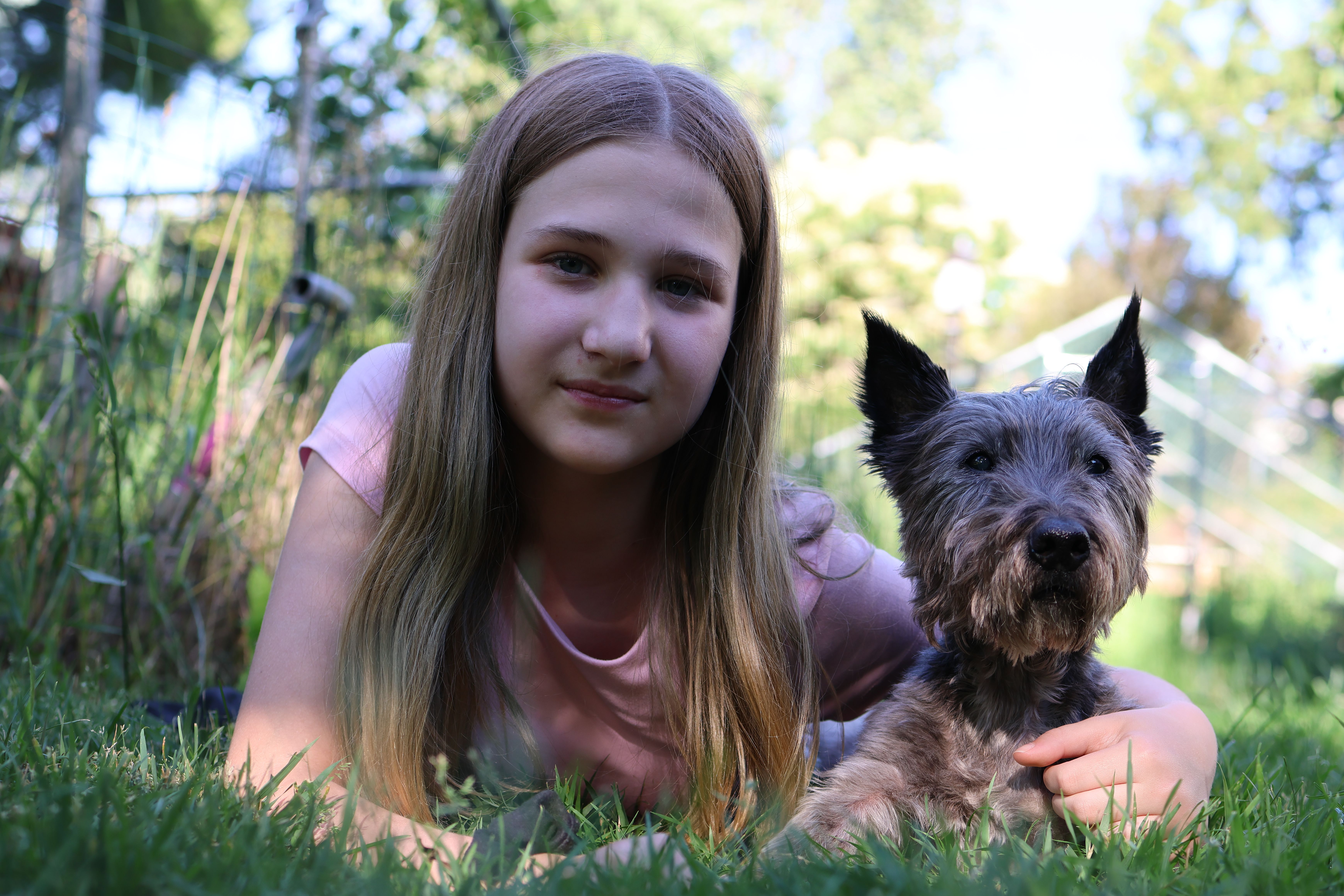 Small Hypoallergenic Dogs: The Lifestyle Truth