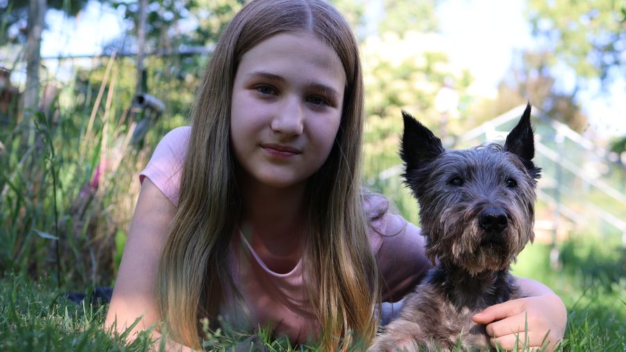 Small Hypoallergenic Dogs: The Lifestyle Truth
