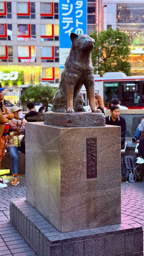 Hachiko Memorial Statue in Tokyo, Japan · Free Stock Photo