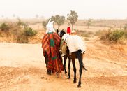 Colorful traditional attire adorned rider leading horse through arid landscape, embodying cultural heritage.