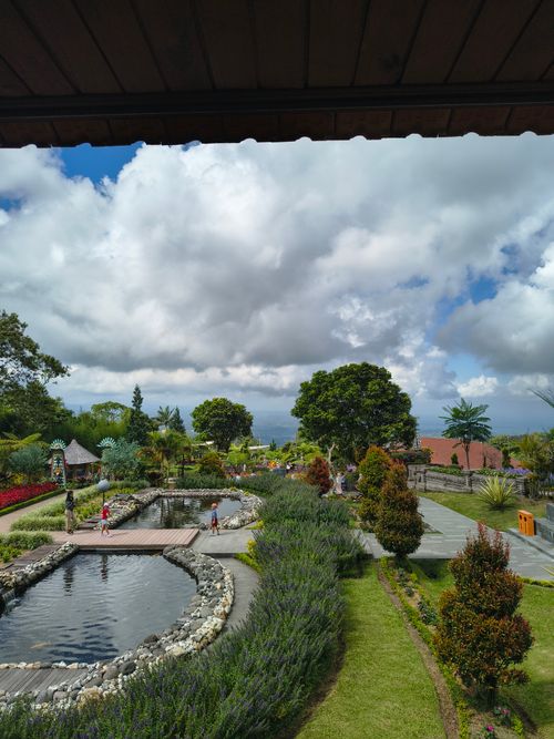 Free Explore the vibrant garden and lush greenery under blue skies in Bali's serene outdoor setting. Stock Photo