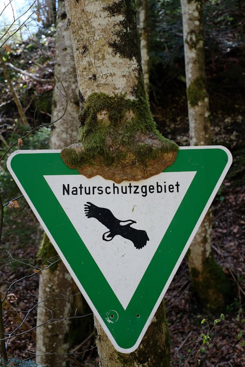 緑と白のnaturschutzgebietサイン
