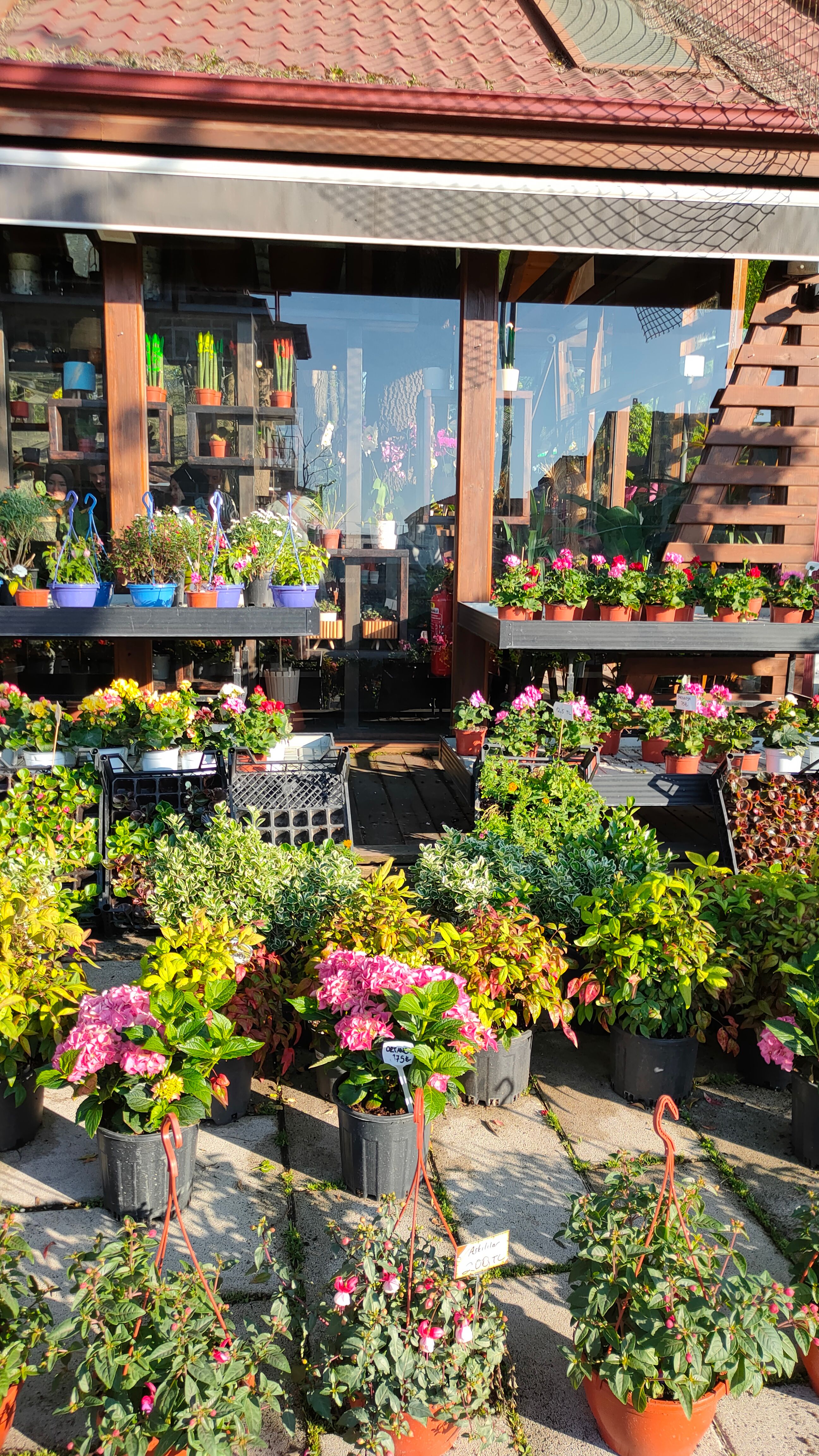 Végétalisation balcon petit espace été 2026 
