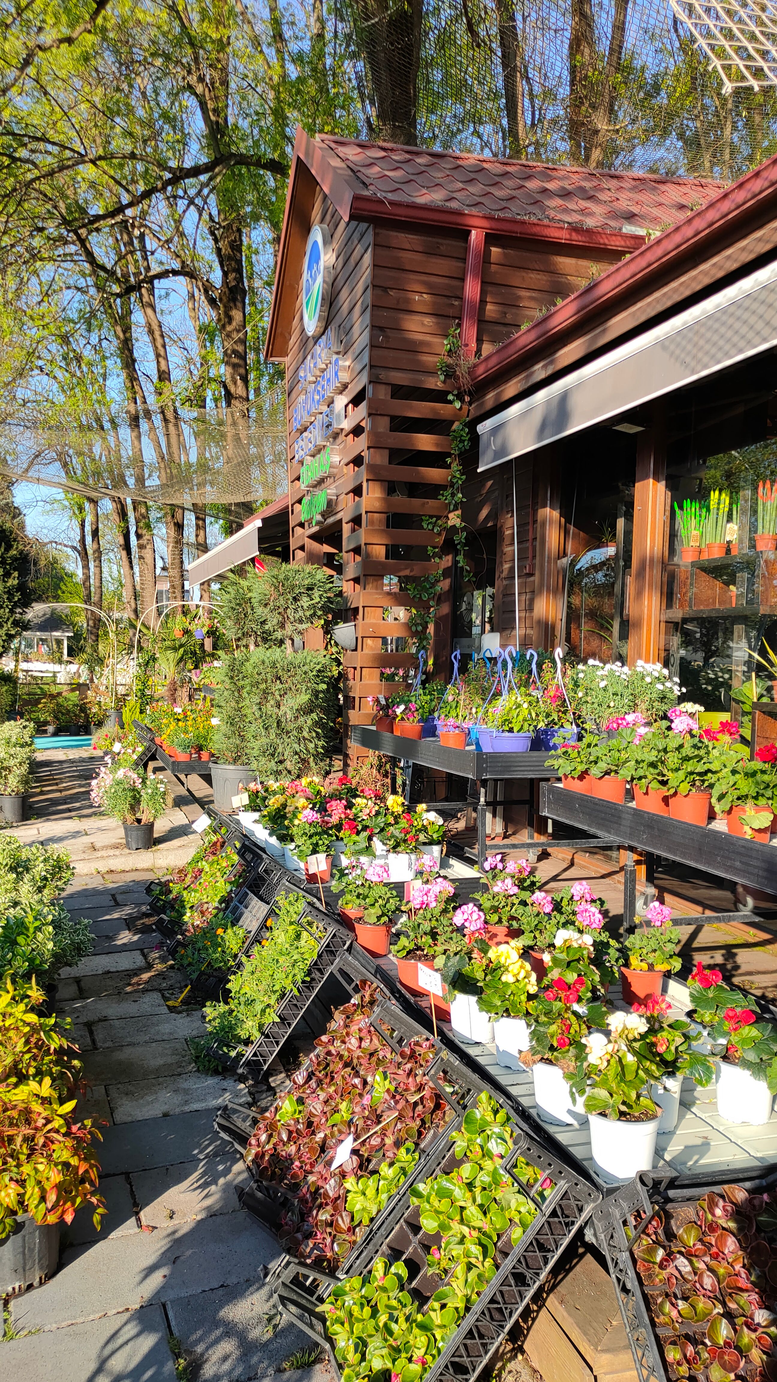 Colorful flowers and plants displayed outside a garden shop in sunny Sakarya, Turkey.