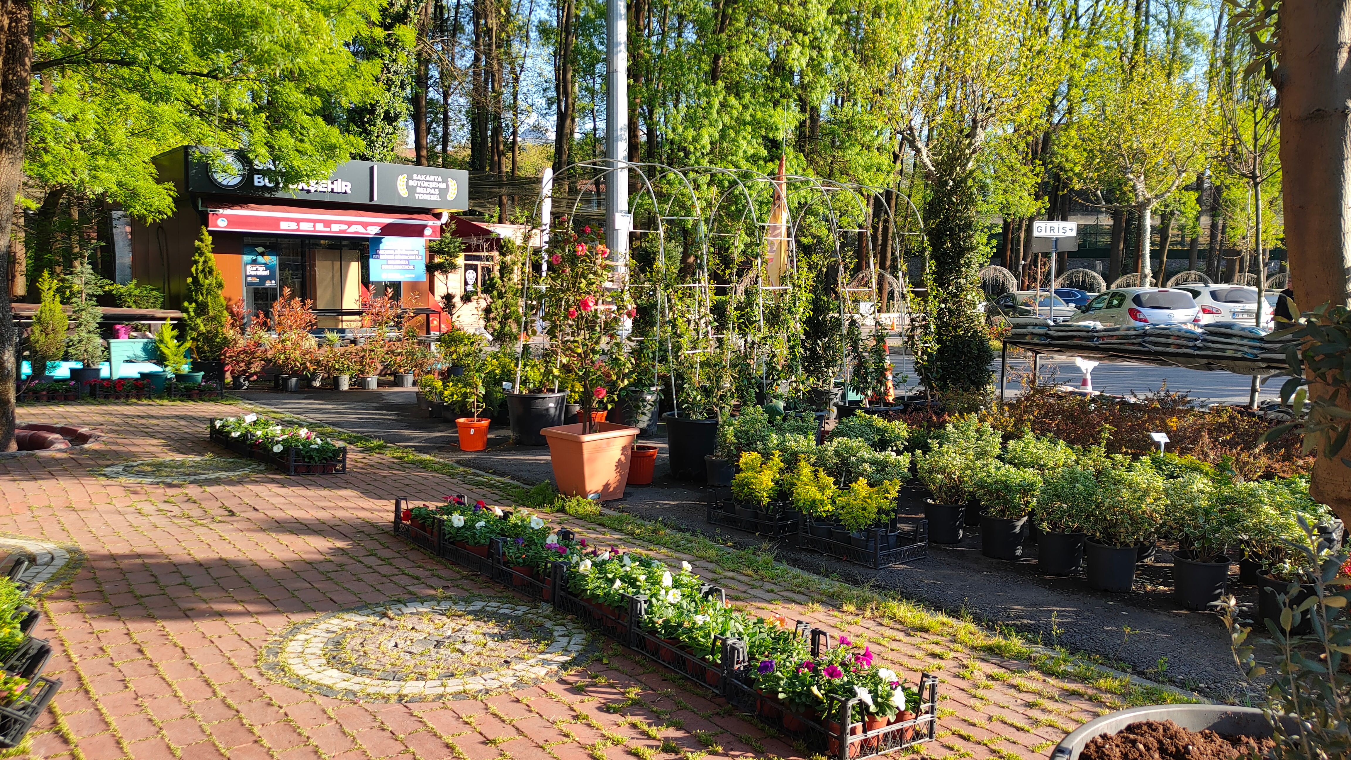 Le sol de vos plantes d'intérieur a besoin de vie