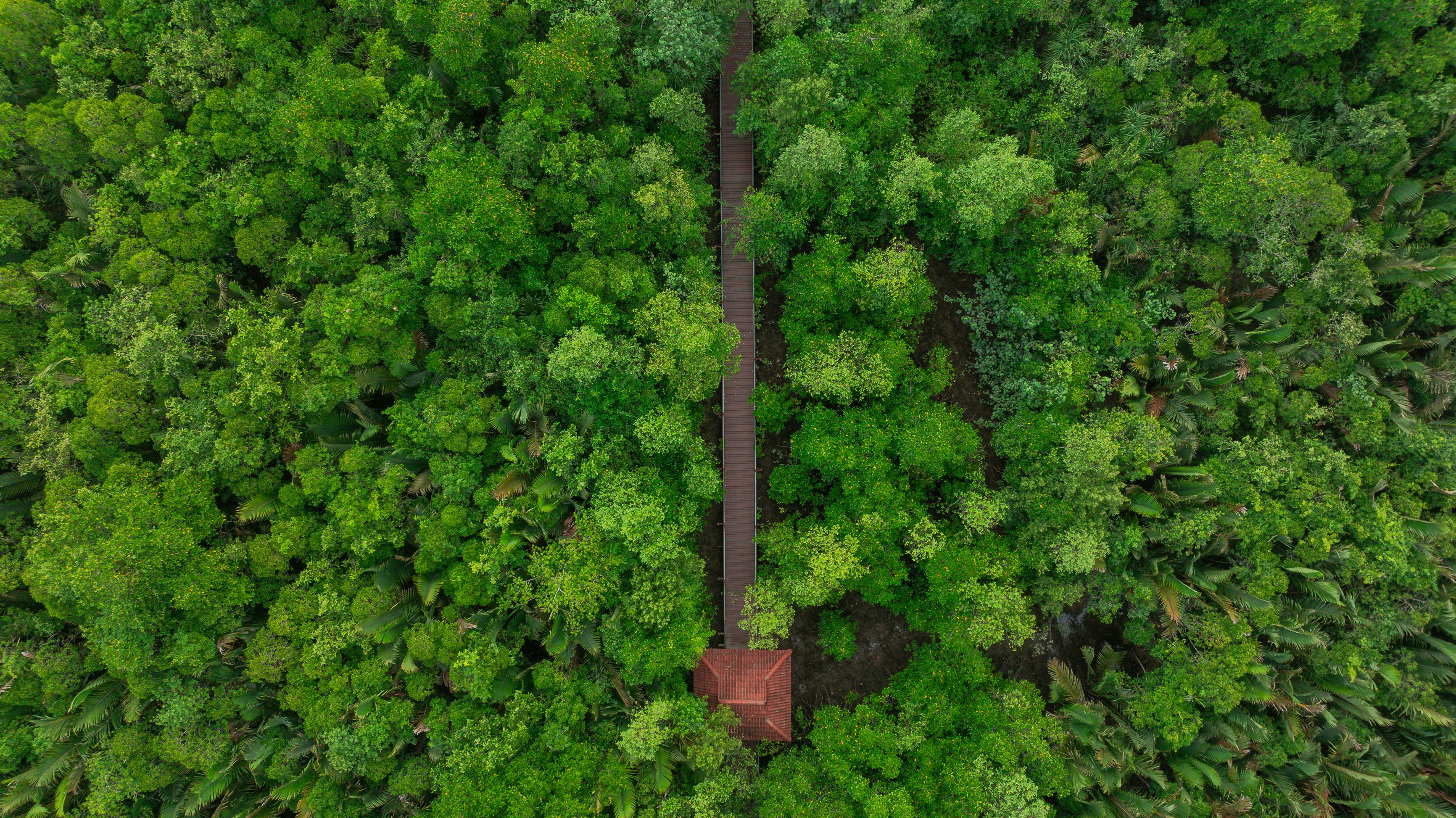 Jack Barnes Bicentennial Mangrove Boardwalk