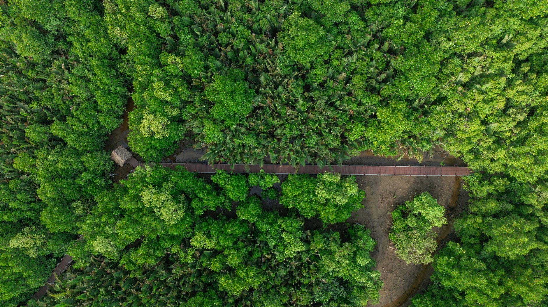 Southeast Asian Startup Ecosystem Rebounds with Vietnam and Singapore Leading $10 Billion Funding Surge