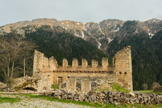 A picturesque view of medieval castle ruins set against snow-capped mountains and a dense forest.