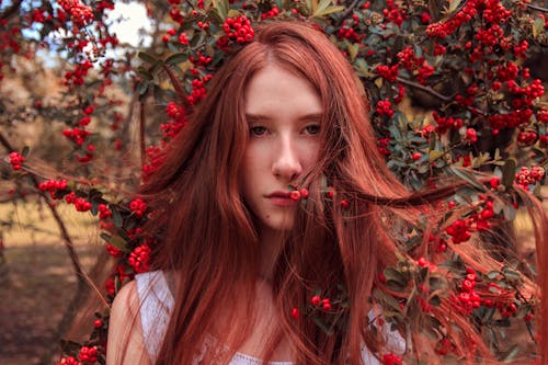 Fotobanka s bezplatnými fotkami na tému červené vlasy, dievča, krásny