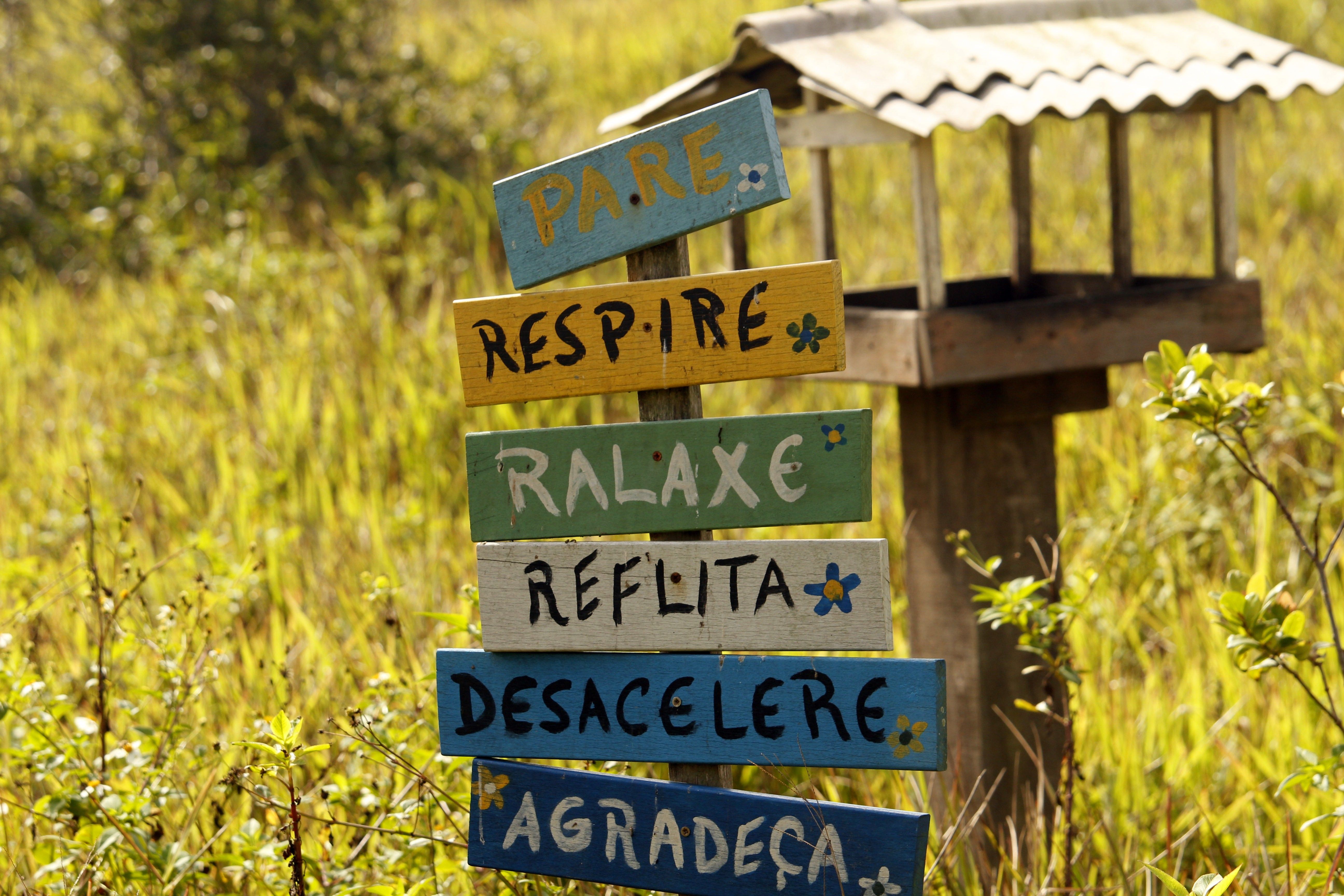 A vibrant wooden sign with inspirational messages in a lush Guaratuba field, Brazil.