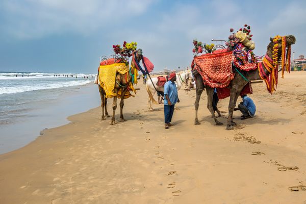 Odisha Puri Bhubaneswar Konark Tour Package - Activity & Sightseeing
