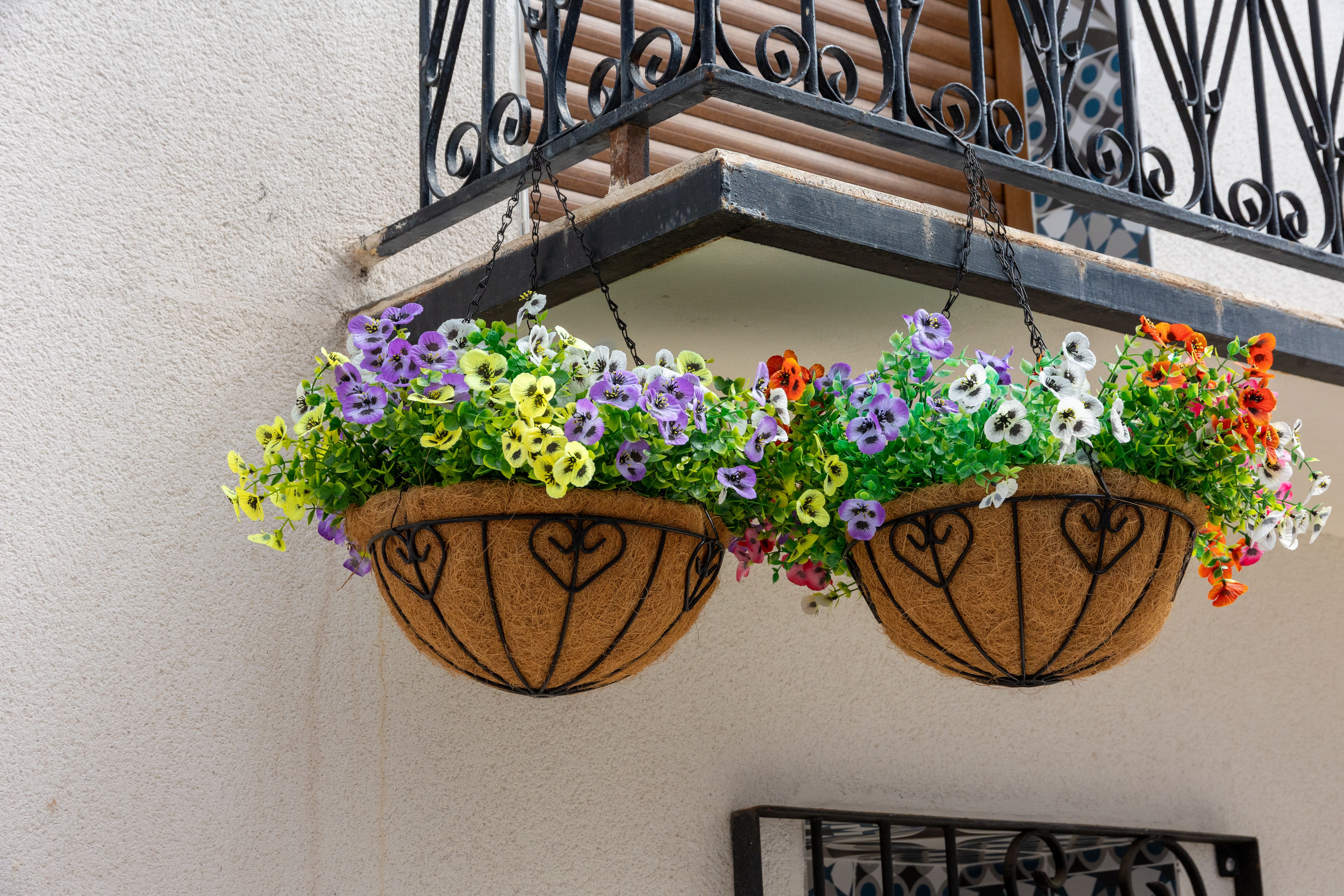 Hanging flower baskets with colorful blooms on a balcony