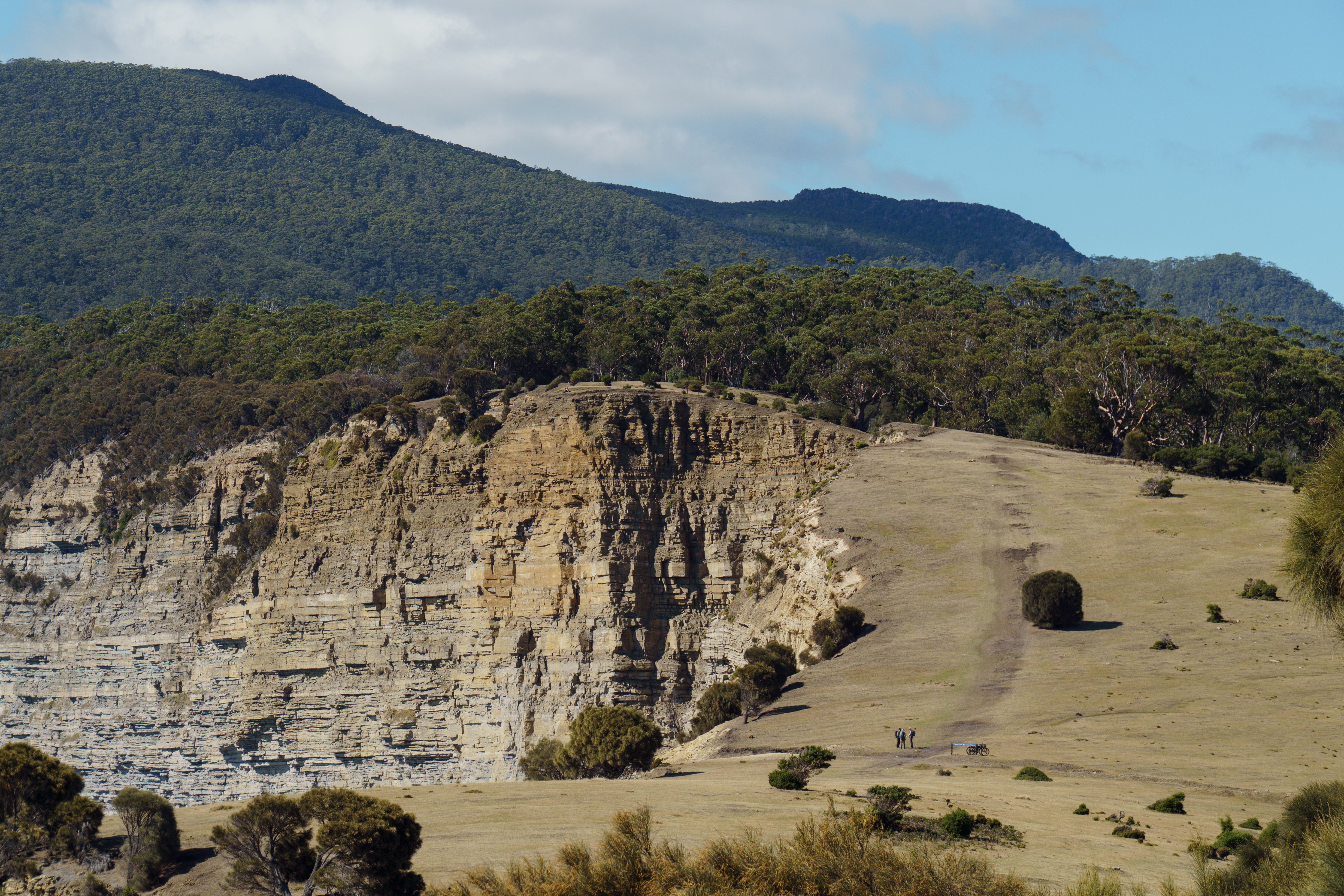 Scenic landscape of rugged cliffs and forests on Maria Island, Tasmania.