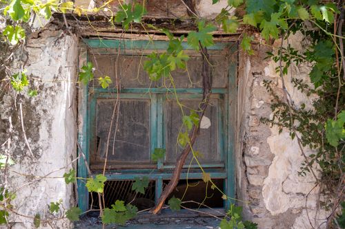 Free Old rustic window overgrown with green vines on a weathered stone wall. Stock Photo