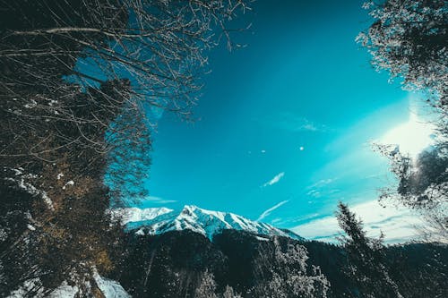 Ücretsiz Mavi Gökyüzü Altında Karla Kaplı Dağ Stok Fotoğraflar