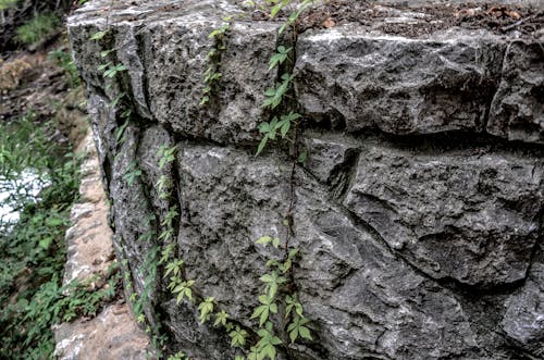 Darmowe zdjęcie z galerii z kamienna ściana, kość słoniowa, natura