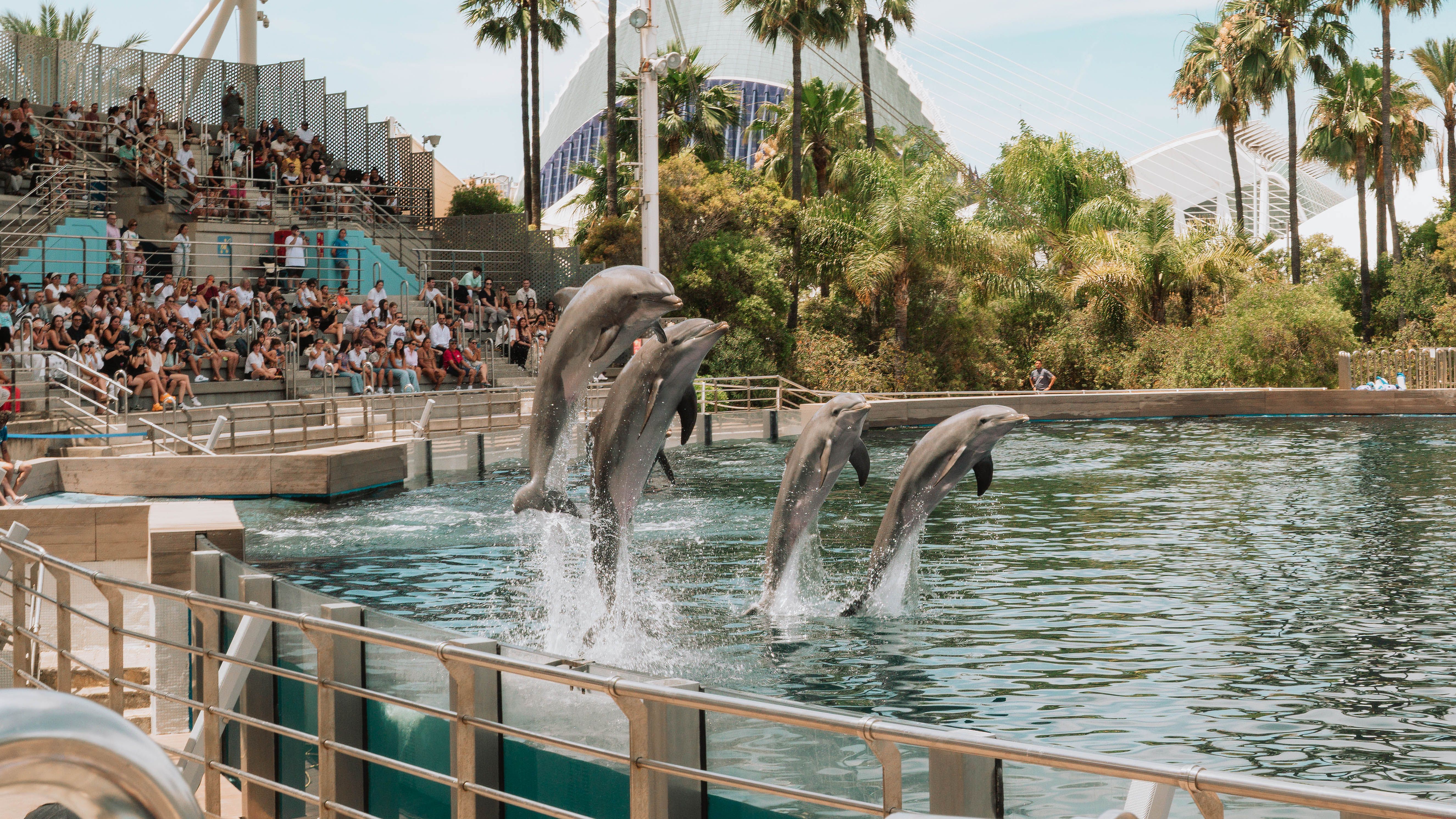 Caribe Aquatic Park