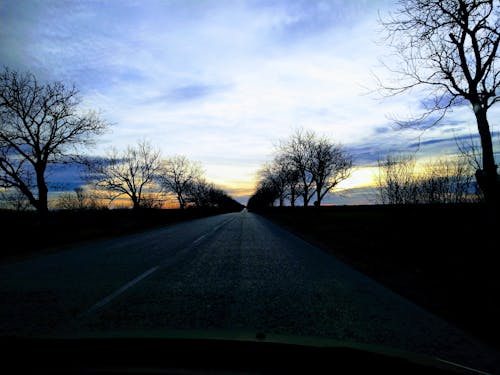 Darmowe zdjęcie z galerii z autostrada, gołe drzewa, kolory zachodu słońca